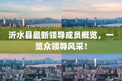 沂水縣最新領(lǐng)導(dǎo)成員概覽，一覽眾領(lǐng)導(dǎo)風(fēng)采！