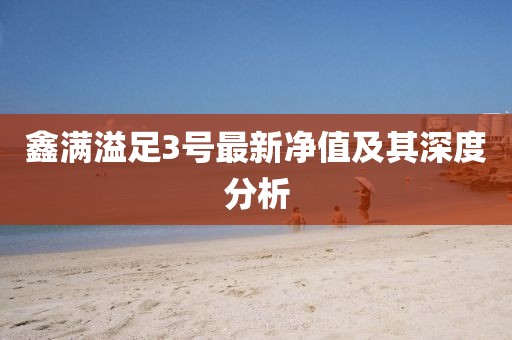 鑫滿溢足3號(hào)最新凈值及其深度分析