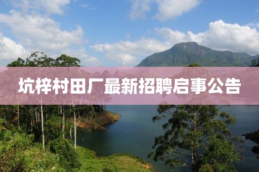 坑梓村田廠最新招聘啟事公告