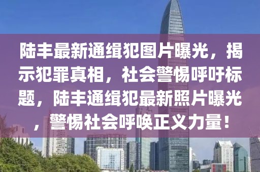 陸豐最新通緝犯圖片曝光，揭示犯罪真相，社會警惕呼吁標題，陸豐通緝犯最新照片曝光，警惕社會呼喚正義力量！