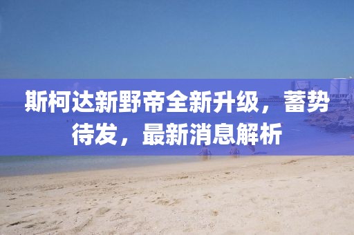 斯柯達新野帝全新升級，蓄勢待發(fā)，最新消息解析