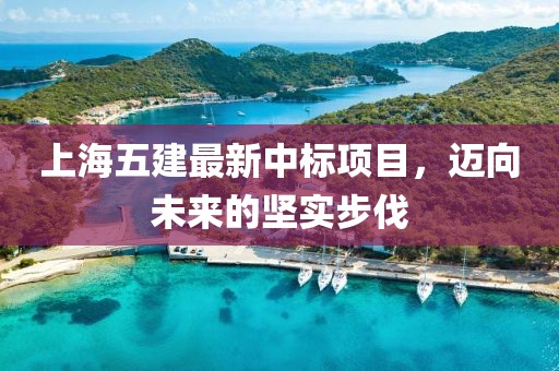 上海五建最新中標(biāo)項(xiàng)目，邁向未來(lái)的堅(jiān)實(shí)步伐