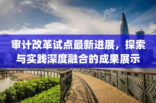 審計改革試點最新進展，探索與實踐深度融合的成果展示