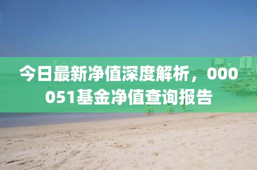 今日最新凈值深度解析，000051基金凈值查詢報(bào)告