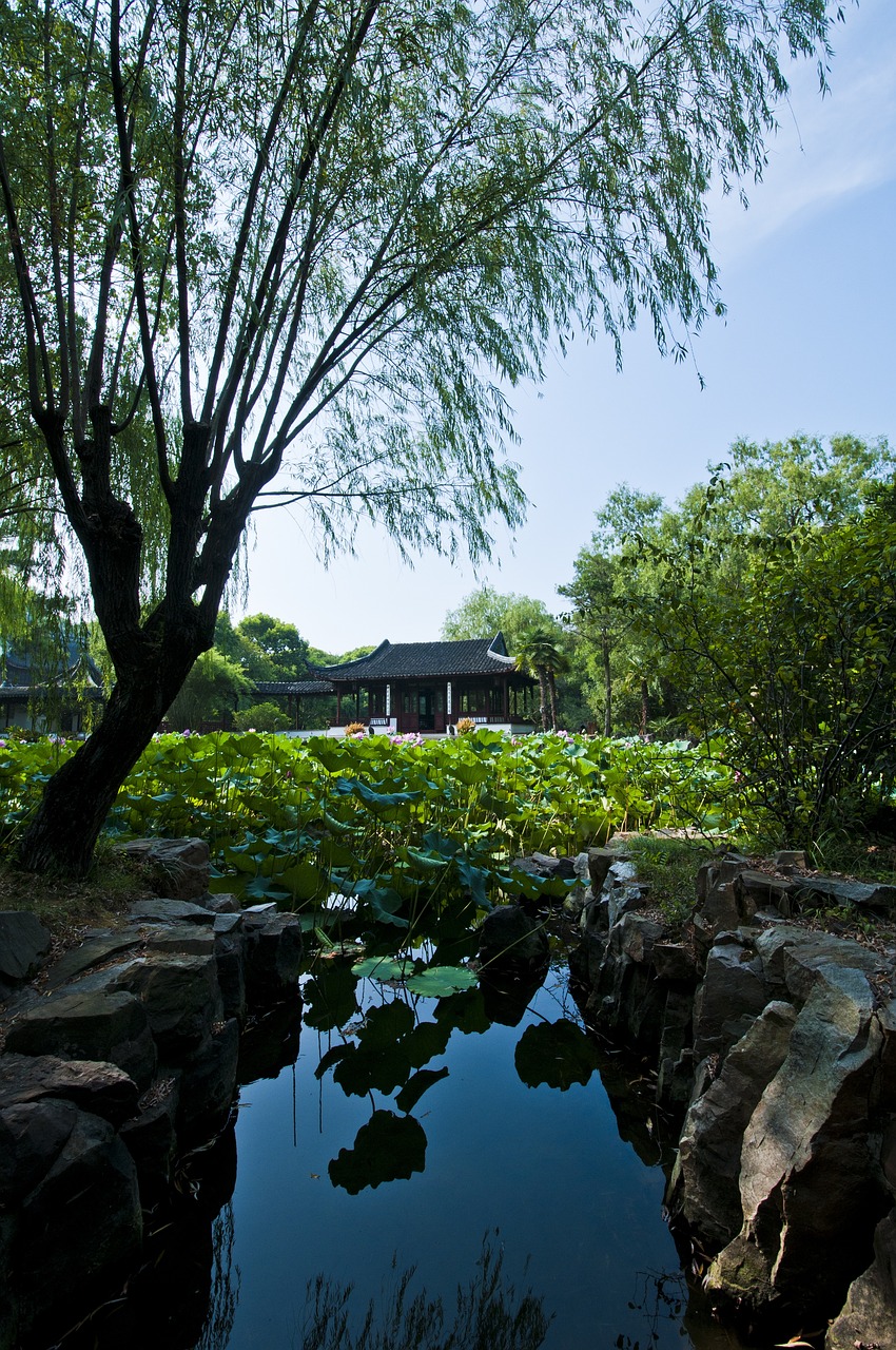 津雄鐵路最新進(jìn)展、影響與展望，揭秘最新動(dòng)態(tài)與未來(lái)趨勢(shì)