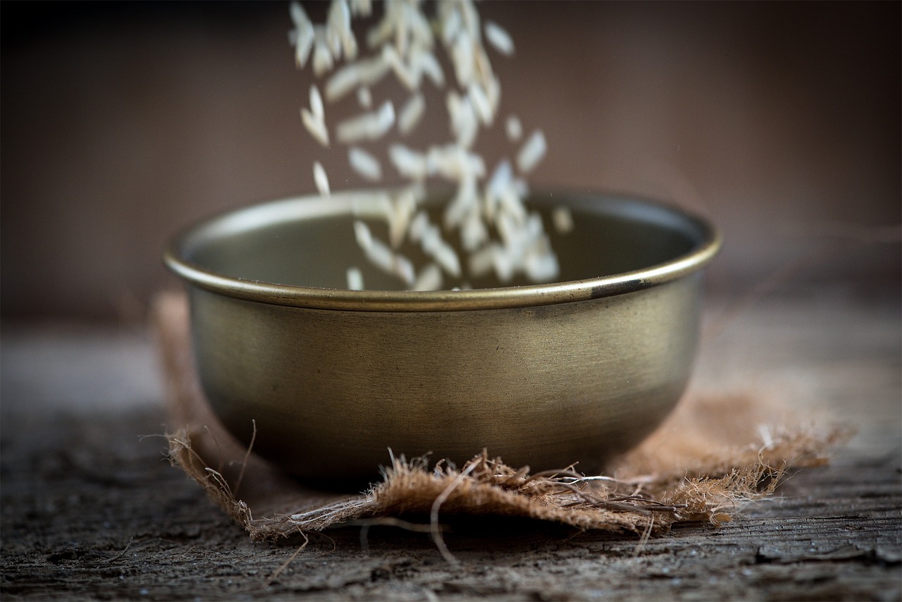 日照未來城最新動(dòng)態(tài)，城市發(fā)展的輝煌新篇章