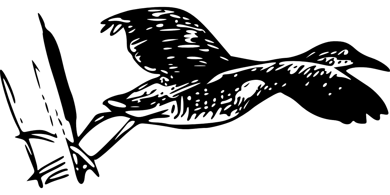 晚秋 第21頁