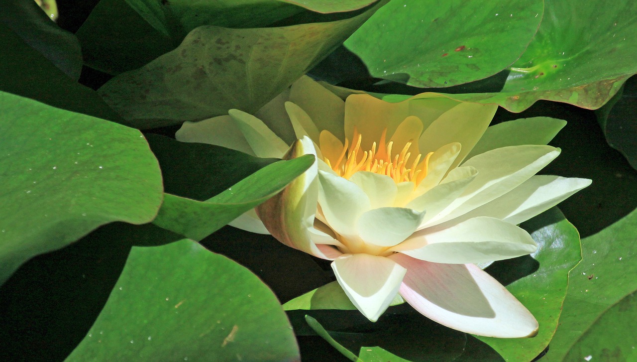 江門瓏湖灣未來繁華啟幕，最新動態(tài)揭示未來發(fā)展新篇章