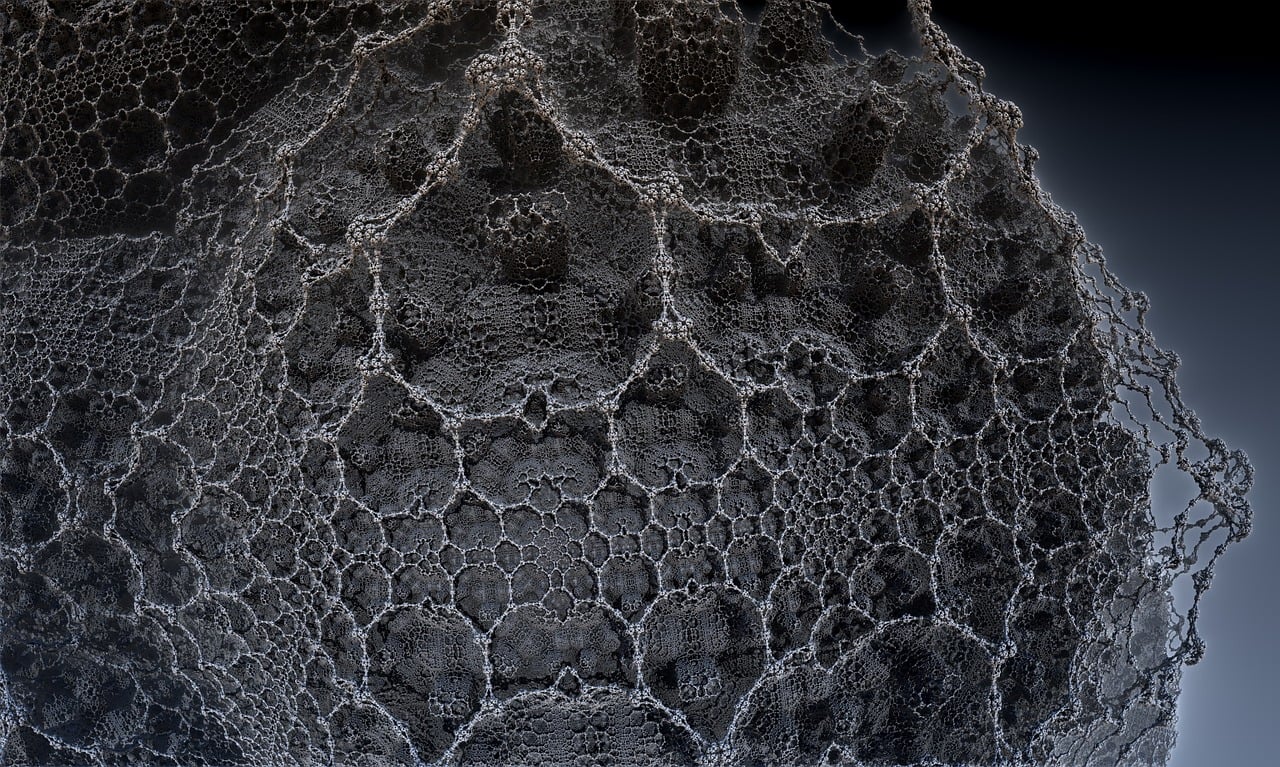 湛江李昌梧最新動態(tài)，傳奇人物的嶄新篇章