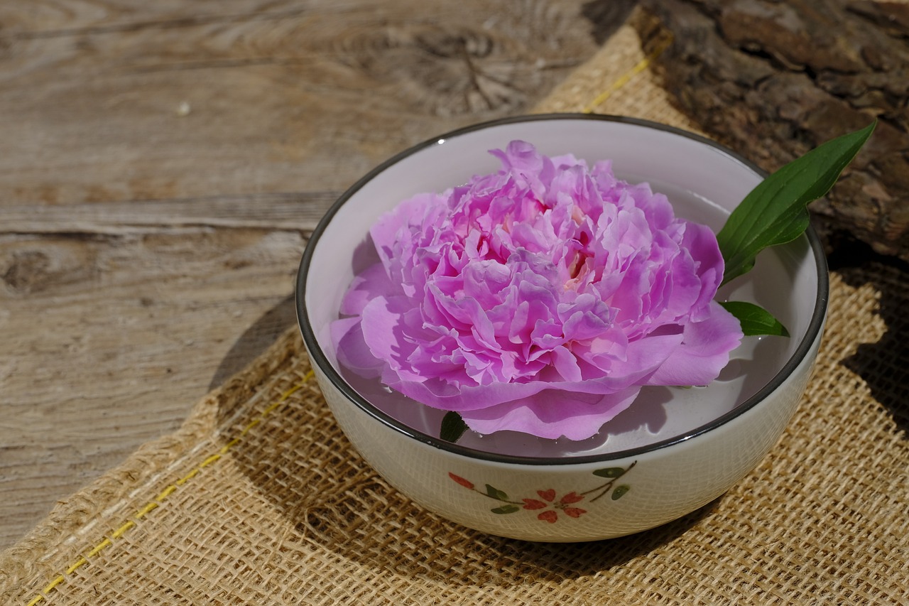 大康牧業(yè)利好消息深度解析，最新動(dòng)態(tài)帶來(lái)積極前景