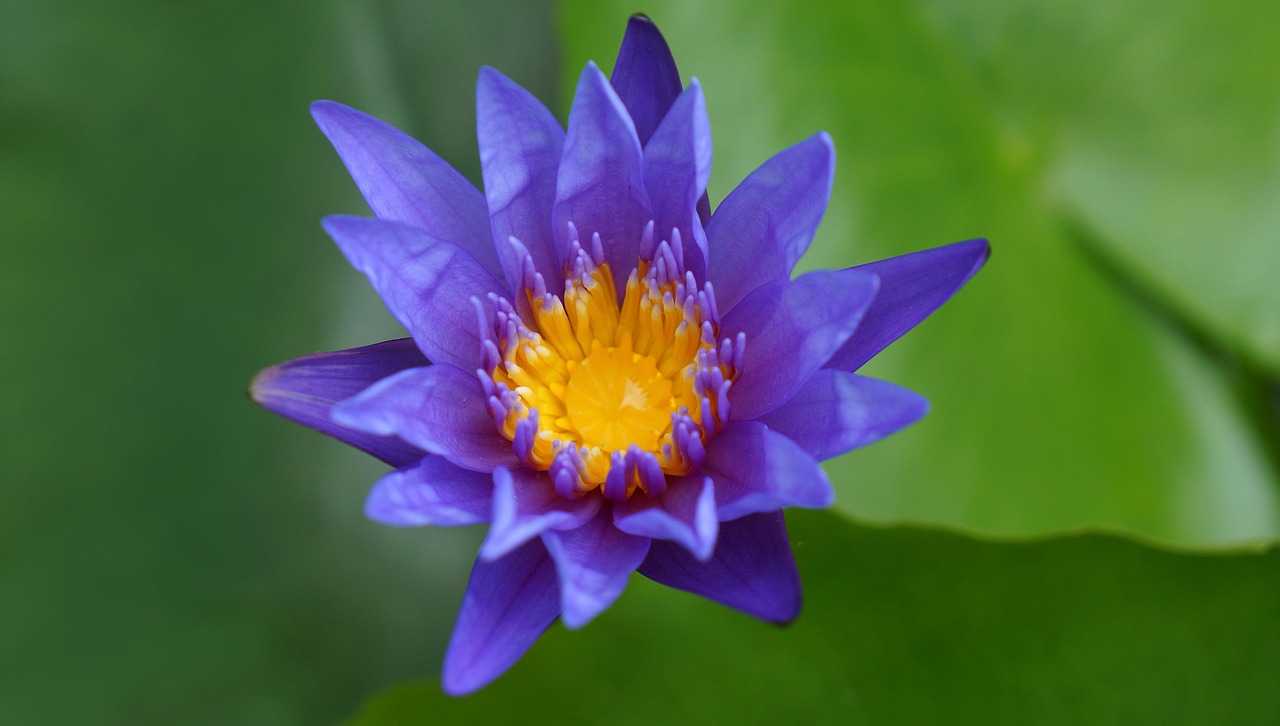 雙陽區(qū)火車站邁向現(xiàn)代化，提升服務(wù)質(zhì)量，最新動態(tài)報告