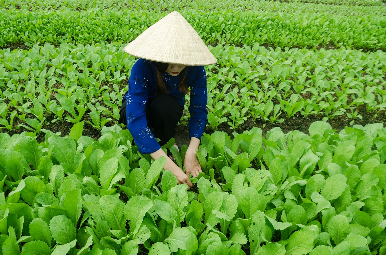 甬金鐵路最新動(dòng)態(tài)，嵊州發(fā)展與鐵路聯(lián)動(dòng)推進(jìn)