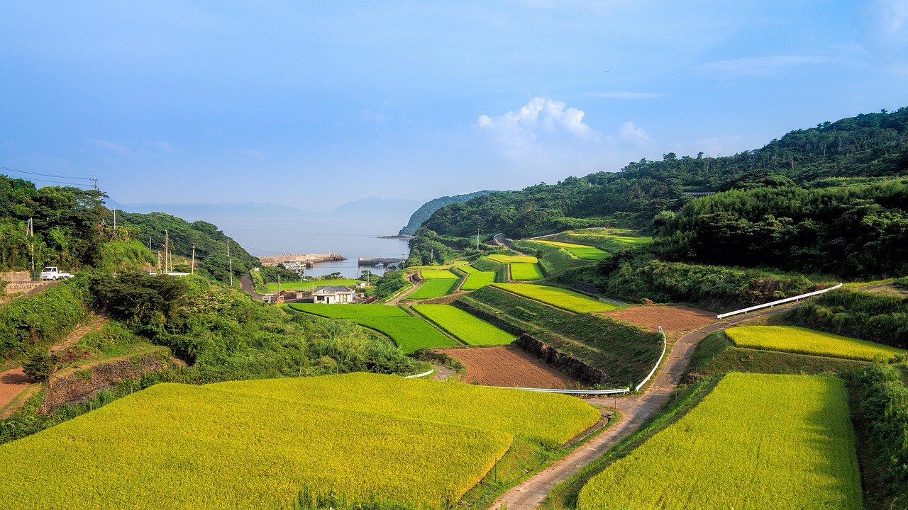 廣西靈山高速建設進展揭秘，最新消息與未來展望