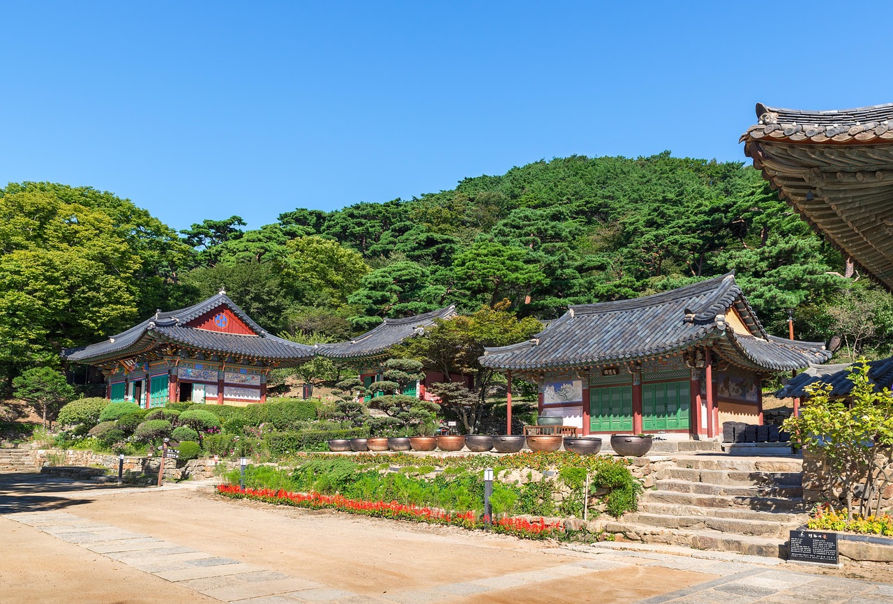 廣饒四季花城，繁榮盛景與未來期待揭秘