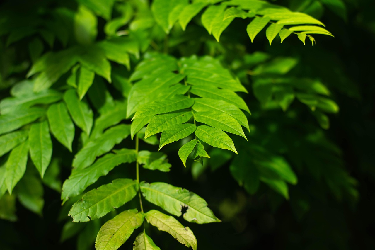 北海水印泉山最新動態(tài)，城市發(fā)展與綠色生態(tài)的和諧共鳴