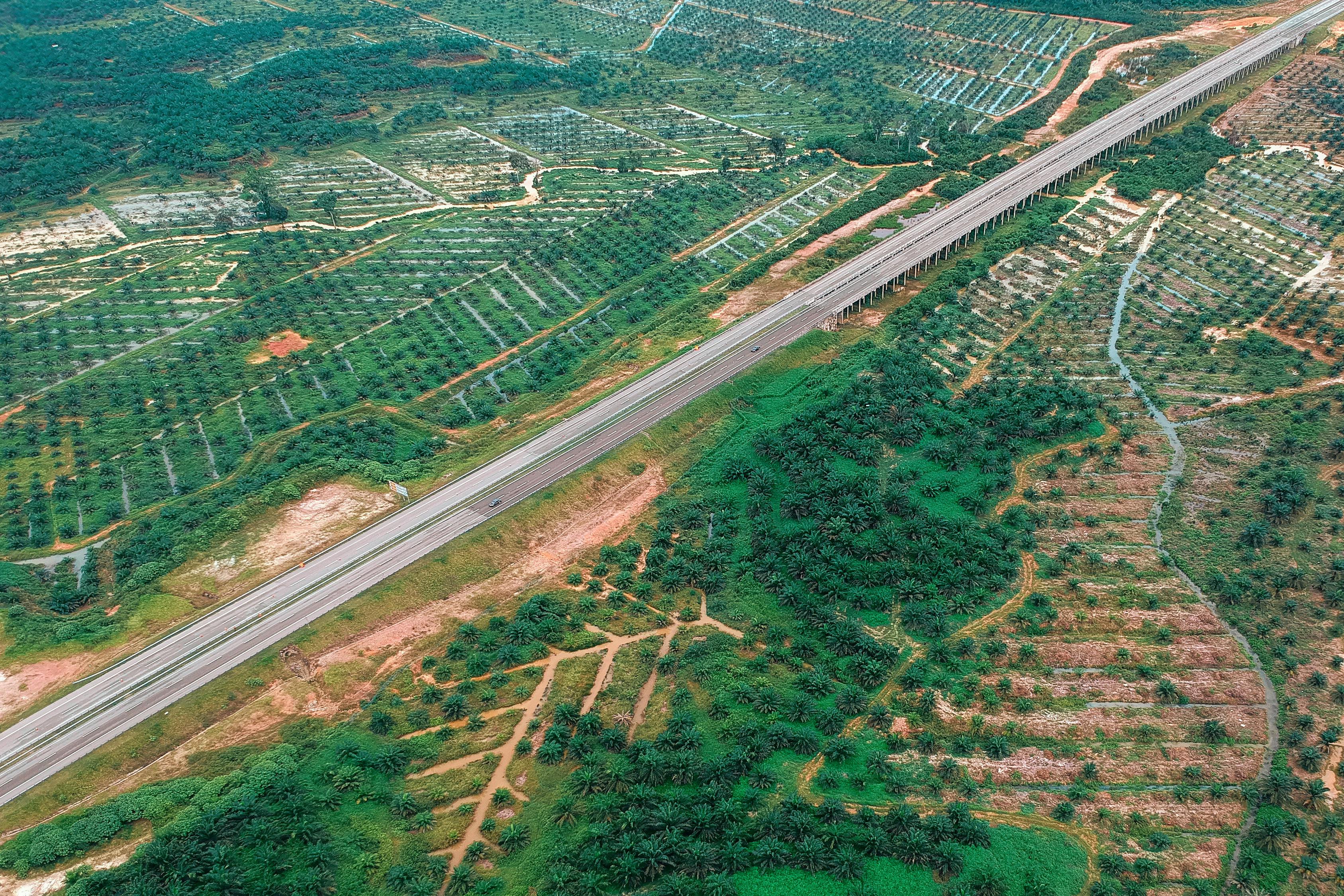 興富高速公路最新進(jìn)展報(bào)告更新，建設(shè)進(jìn)度一覽