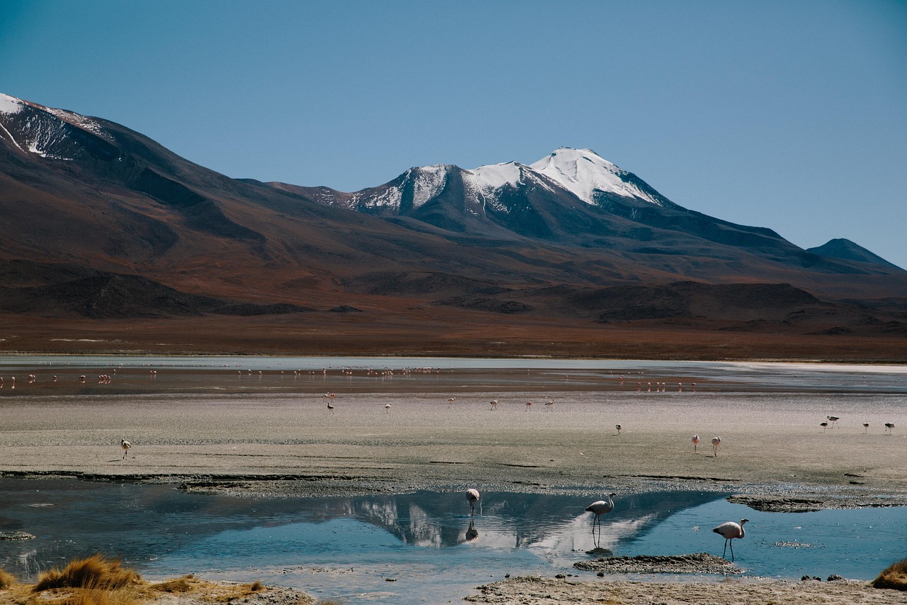聽見涼山最新季第二集，探索與成長的旅程