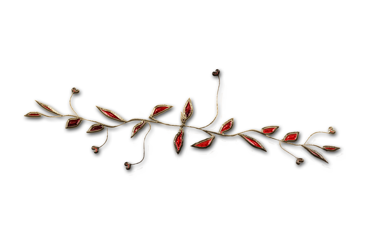 廣西大紅八角產(chǎn)業(yè)蓬勃發(fā)展，前景廣闊，最新消息與動態(tài)