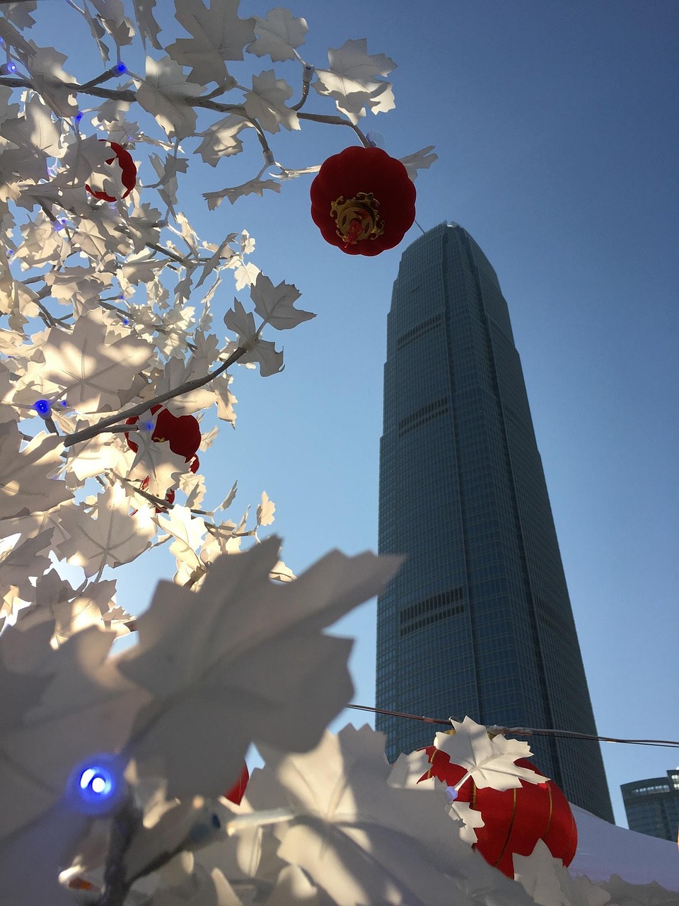 漫漫長(zhǎng)夜新版本砍樹探索，全新體驗(yàn)之旅