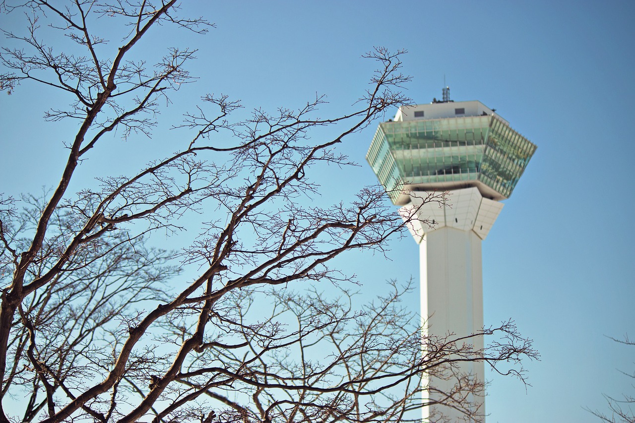 決斗之城最新動態(tài)，新時代卡牌競技盛宴揭秘